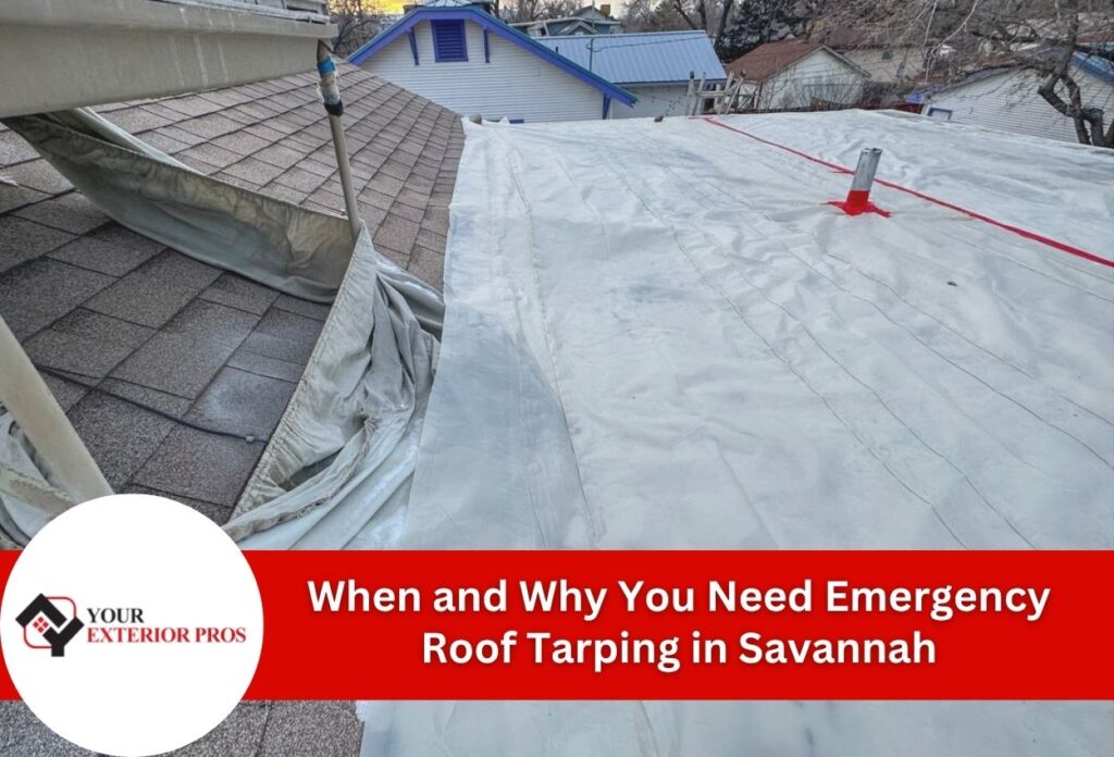 roof tarp