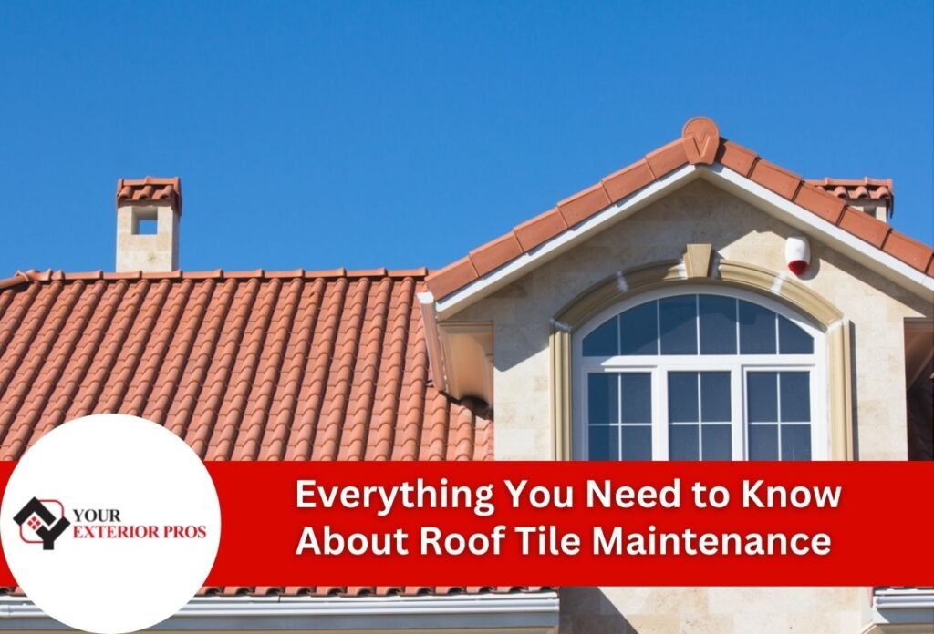 Everything You Need to Know About Roof Tile Maintenance: Protecting Your Savannah Home
